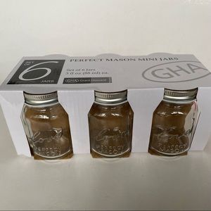 Grant Howard Set Of 6 Mini Mason Jars New